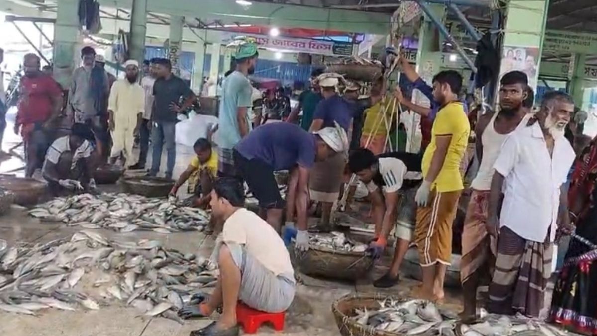 এবার জাটকা ইলিশ ধরায় ৮ মাসের নিষেধাজ্ঞা, মধ্যরাত থেকে শুরু