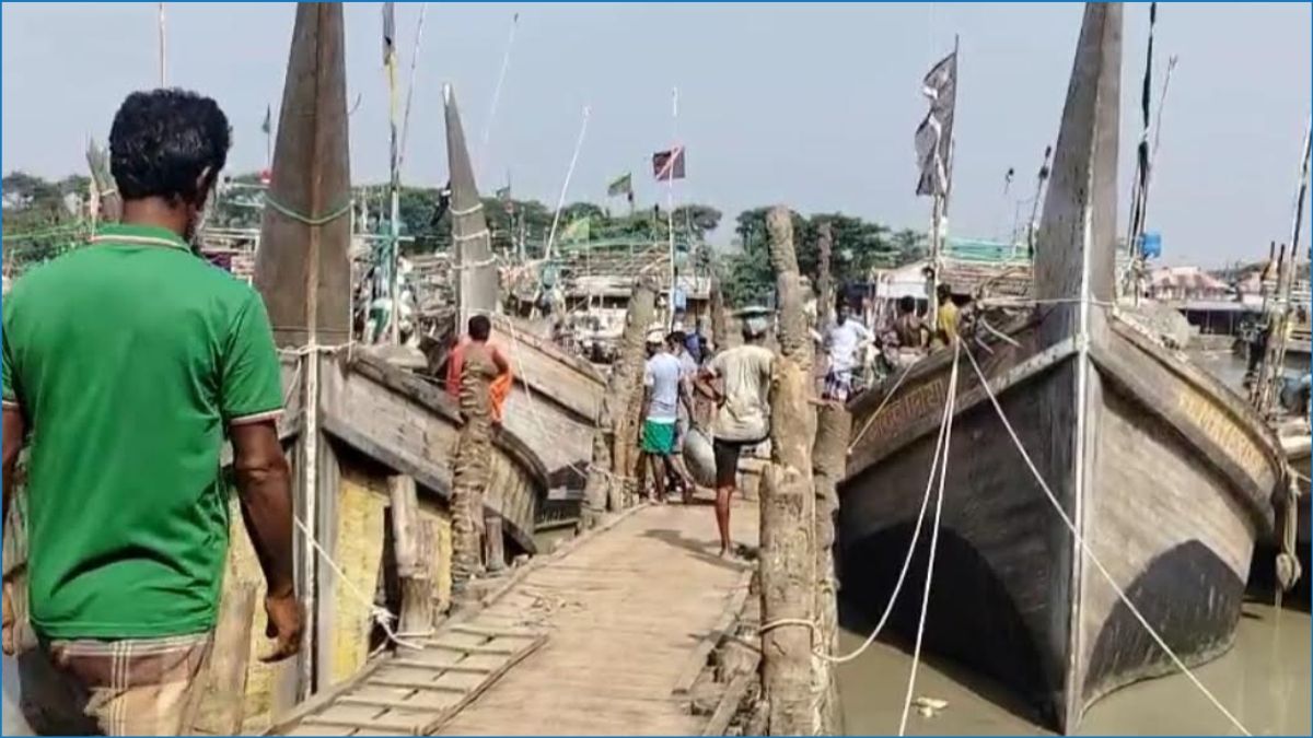 জাটকা শিকারে ৮ মাসের নিষেধাজ্ঞা শুরু