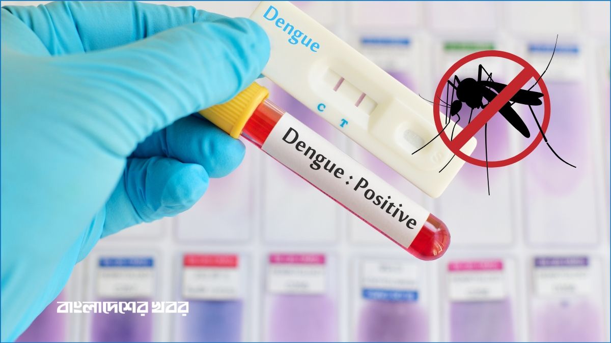 ডেঙ্গু আক্রান্তের সংখ্যা ৭০ হাজার ছাড়াল