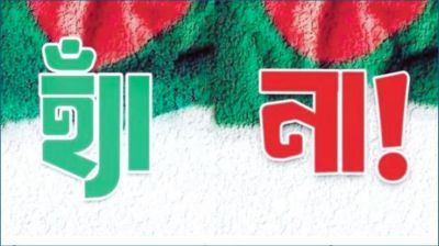 ‘হ্যাঁ’ ‘না’ ভোট : আইন কী বলে?