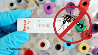 ডেঙ্গুতে মৃত্যু ৫, আক্রান্ত ১১৪৭