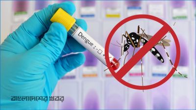ডেঙ্গুতে ২৪ ঘণ্টায় ১০ জনের মৃত্যু