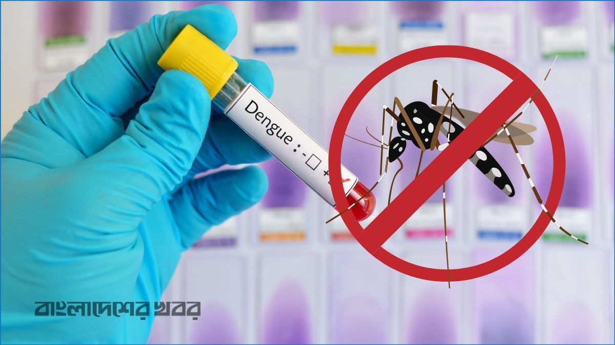 ডেঙ্গুতে আরও ৫ জনের মৃত্যু, হাসপাতালে ১০৩৪
