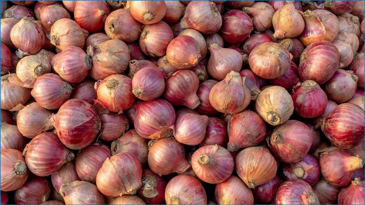 ১০ দিনে দাম বেড়ে দ্বিগুণ, পেঁয়াজের বাজারে অস্থিরতা কেন