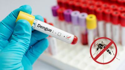 প্রশাসনিক দুর্বলতায় বাড়ছে ডেঙ্গুর প্রকোপ