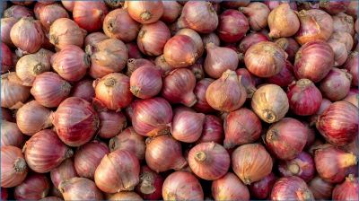১০ দিনে দাম বেড়ে দ্বিগুণ, পেঁয়াজের বাজারে অস্থিরতা কেন