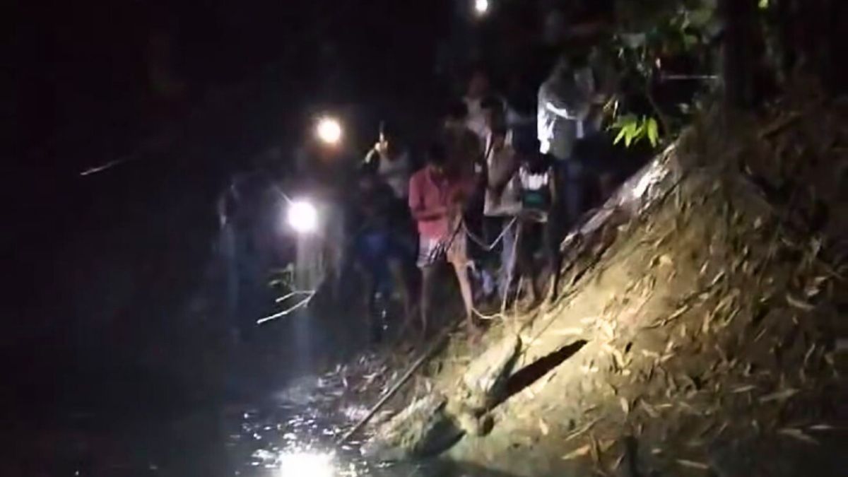 মানিকগঞ্জে অভিনব কায়দায় কুমির ধরল গ্রামবাসী