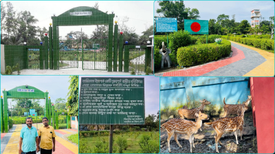 ফেনীর প্রাকৃতিক সৌন্দর্যে ঘেরা বিনোদন স্পট কাজীরবাগ ইকো-পার্ক