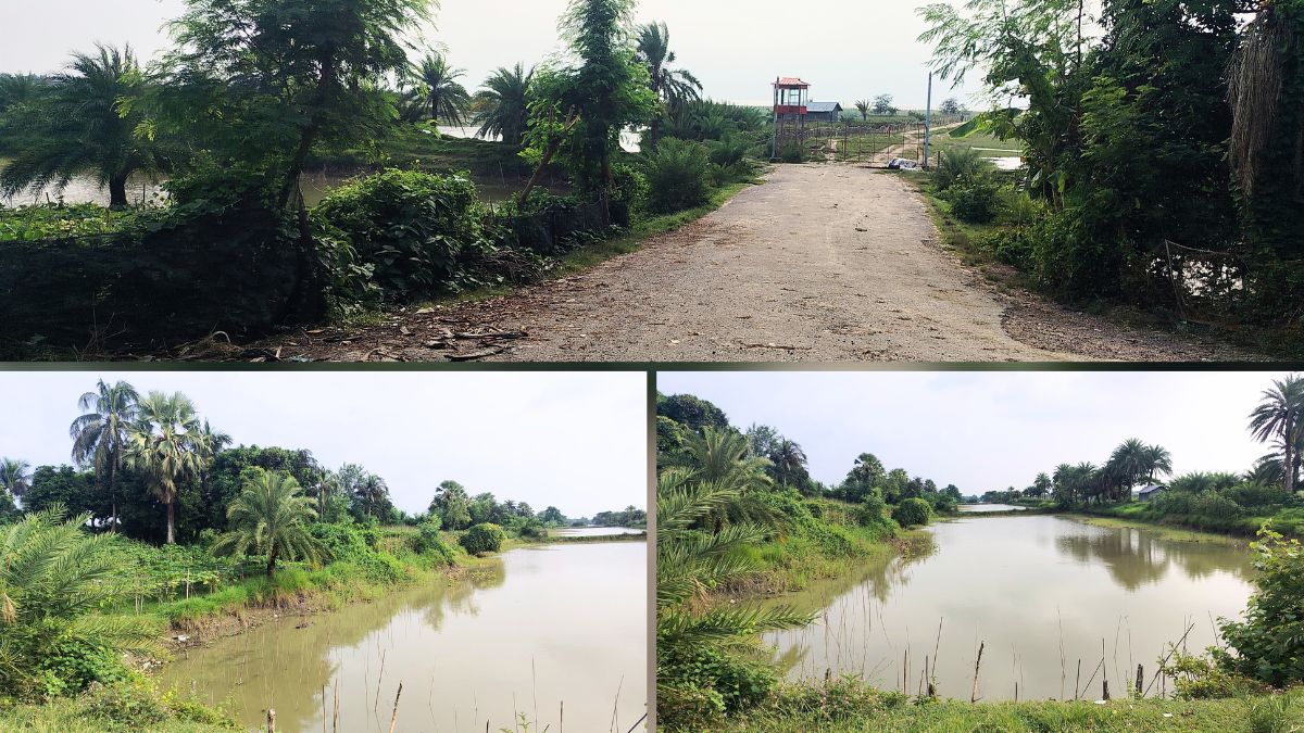 সীতাকুণ্ডে বন উজাড় করে অবৈধ মাছের ঘের, পরিবেশ বিপর্যয়ের আশঙ্কা