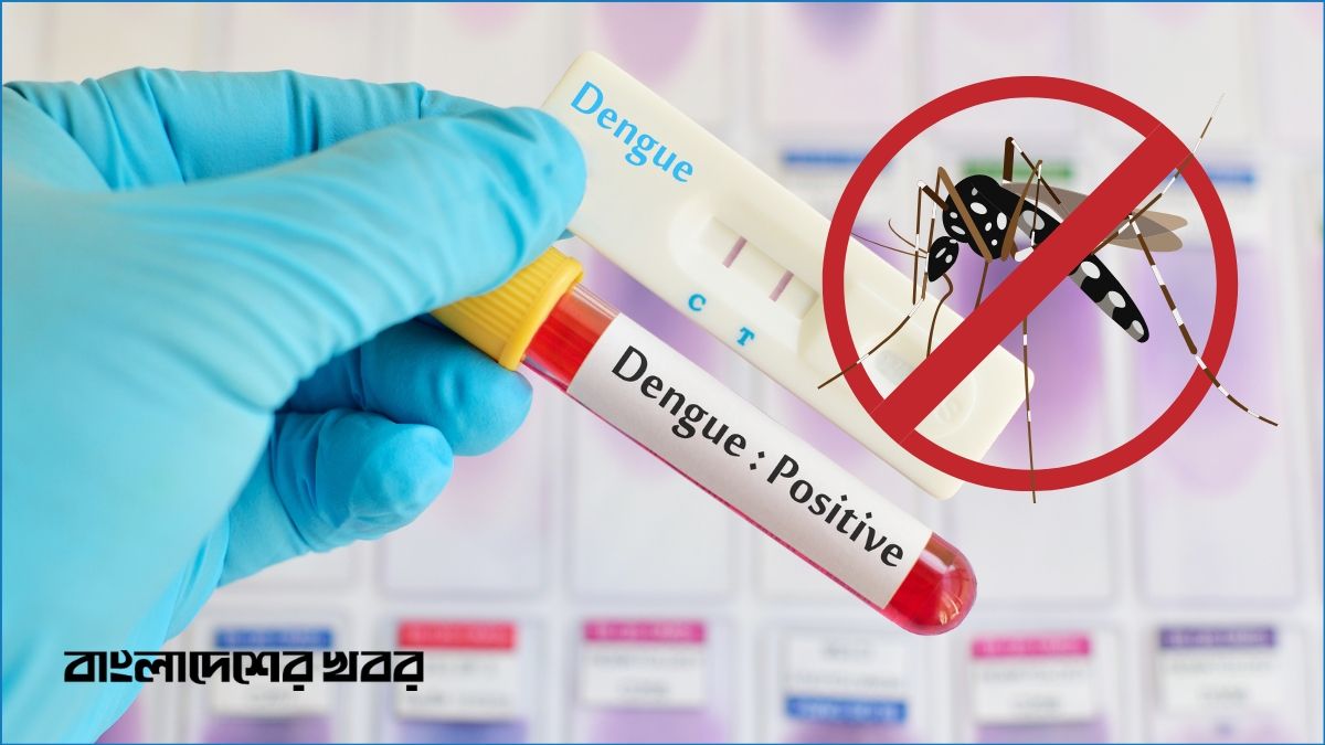 ডেঙ্গুতে আরও ৬ জনের মৃত্যু, হাসপাতালে ভর্তি ১ হাজার ১৯৫ জন
