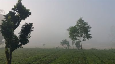 পঞ্চগড়ে তাপমাত্রা নামল ১৬ ডিগ্রিতে