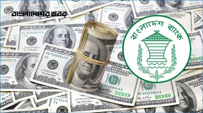 নভেম্বরের প্রথম সপ্তাহে ৭৫৪ মিলিয়ন ডলার পাঠিয়েছেন প্রবাসীরা