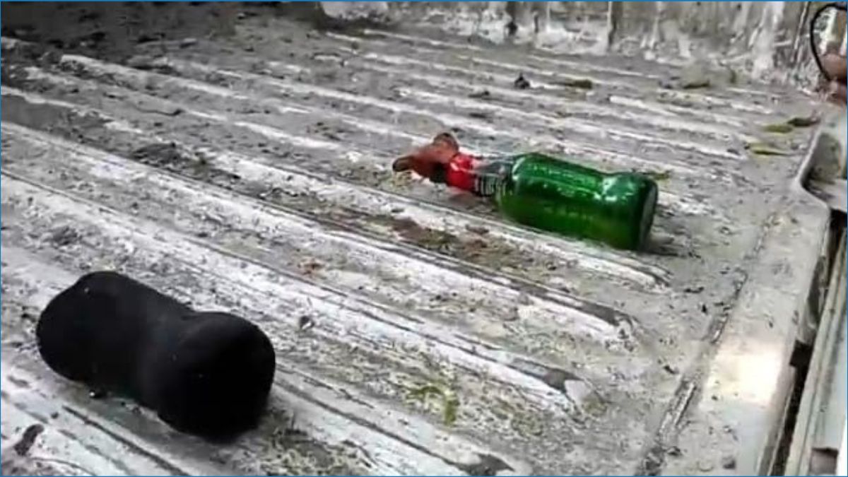 গণপূর্ত অফিসের গাড়িতে আগুন, পেট্রোল বোমা নিক্ষেপ