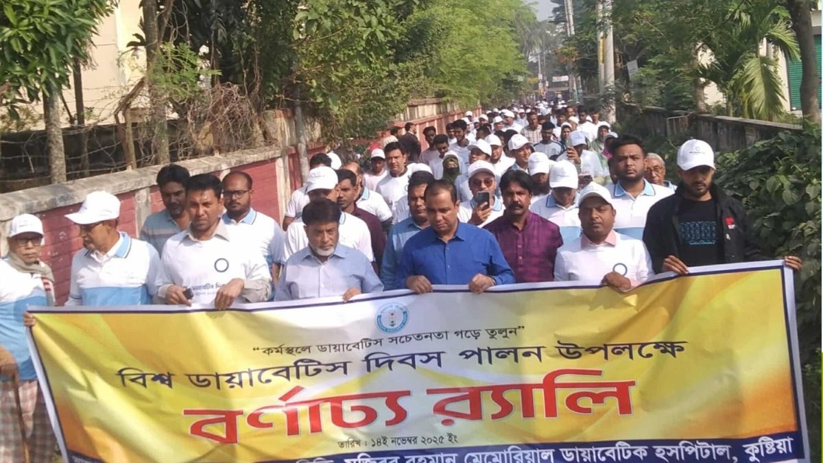 সারা দেশে বিশ্ব ডায়াবেটিস দিবস পালন