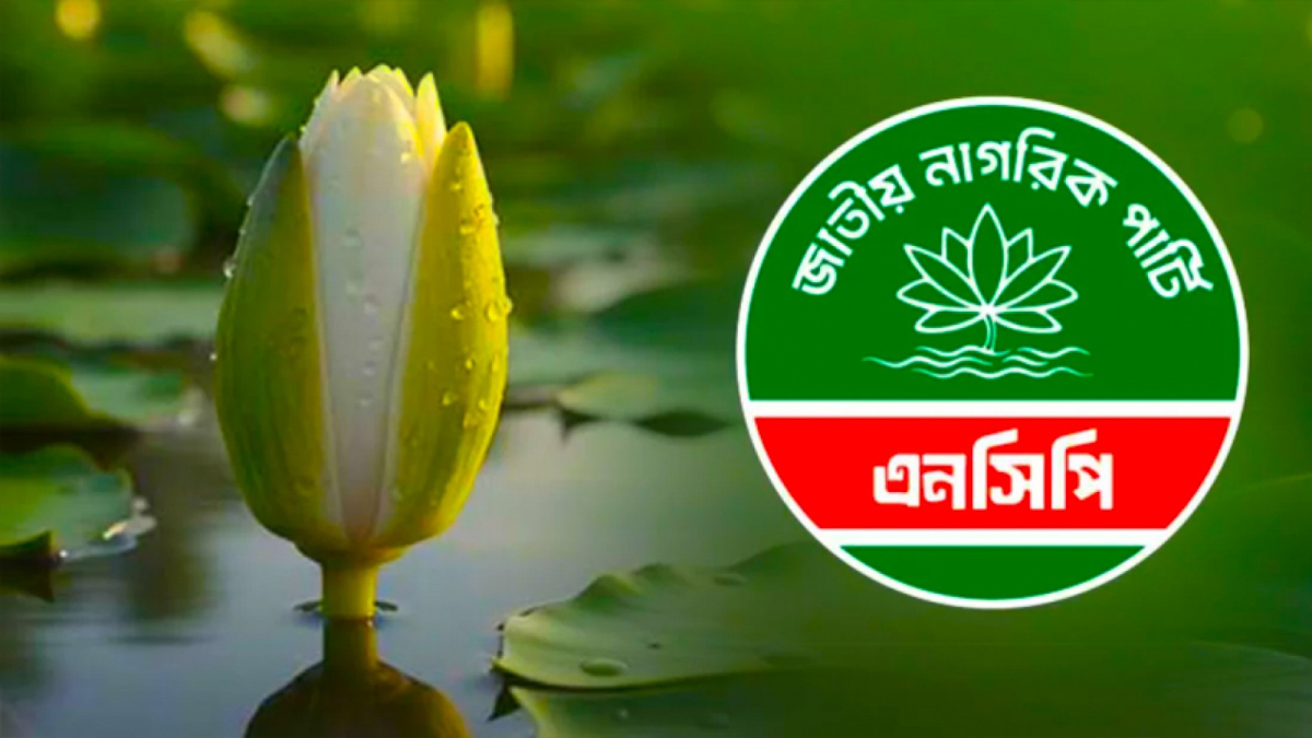 ৮ দিনে ১০১১ মনোনয়নপত্র বিক্রি করল এনসিপি