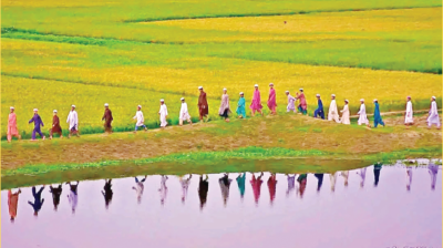 কুরআনি মক্তবের গুরুত্ব ও দায়িত্বশীলদের উদাসীনতা