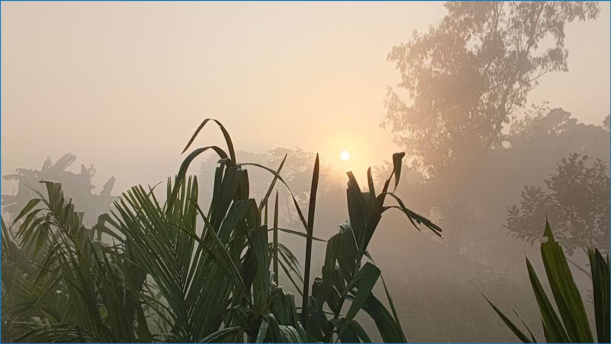 দেশে শীতের আমেজ, রাজধানীতে তাপমাত্রা নেমেছে ১৯ ডিগ্রিতে