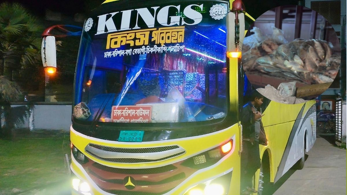 নিষিদ্ধ জাটকা পরিবহনরত বাস ও স্টাফদের ছেড়ে দিল প্রশাসন