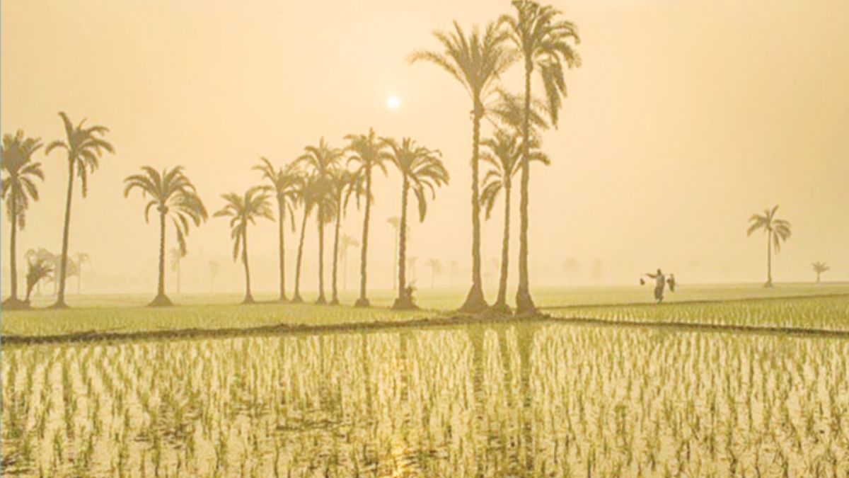 শীতে প্রশস্ত হোক মানবতার চাদর