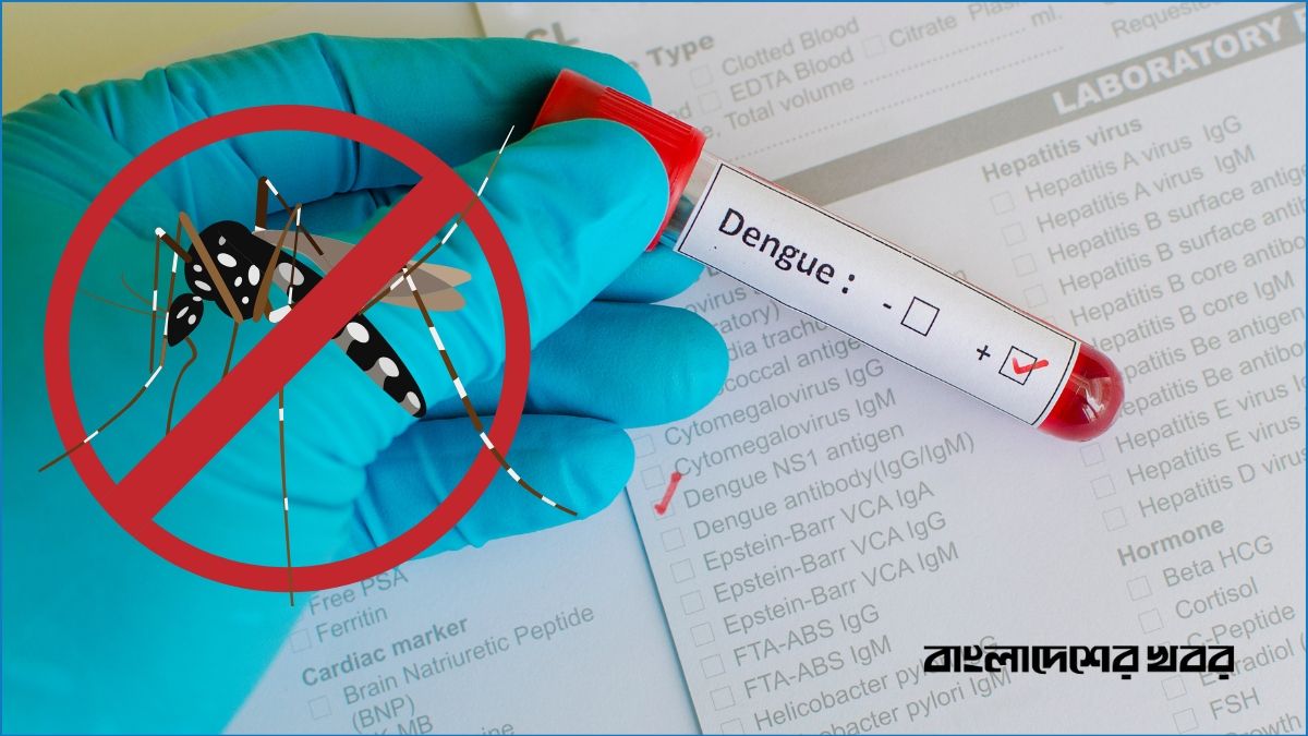 ডেঙ্গুতে আরও ৮ জনের মৃত্যু, হাসপাতালে নতুন ভর্তি ৭৭৮