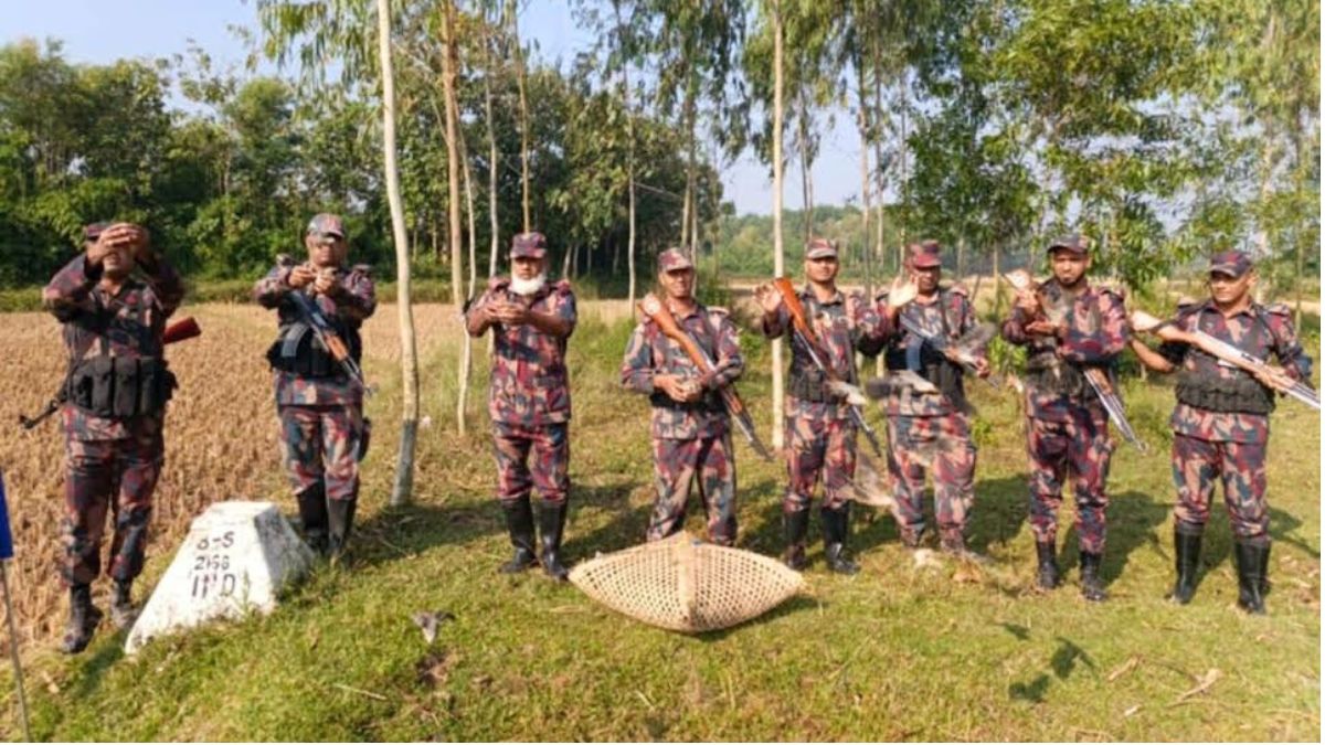 ফেনীতে বিজিবির সহযোগিতায় মুক্তি পেল শতাধিক পাখি