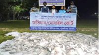পটুয়াখালীতে ৯৫০ কেজি জাটকা জব্দ