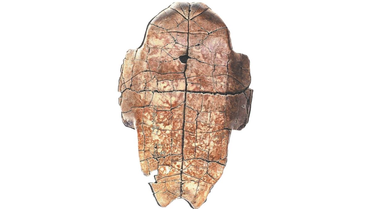 প্রাগৈতিহাসিক মানুষের কথা ‘শোনার পথে’ চীন