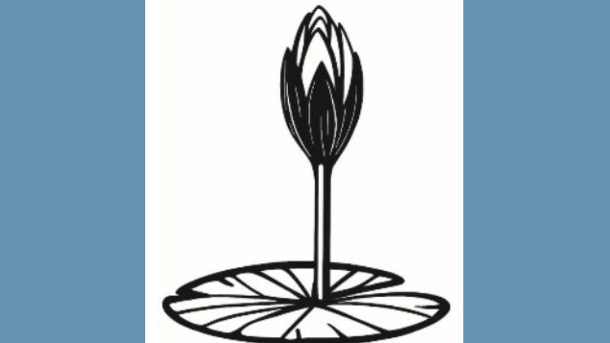 ওয়েবসাইটে এনসিপির ‘শাপলা কলি’ প্রতীকের স্কেচ যুক্ত করল ইসি