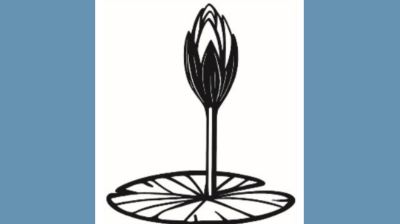 ওয়েবসাইটে এনসিপির ‘শাপলা কলি’ প্রতীকের স্কেচ যুক্ত করল ইসি