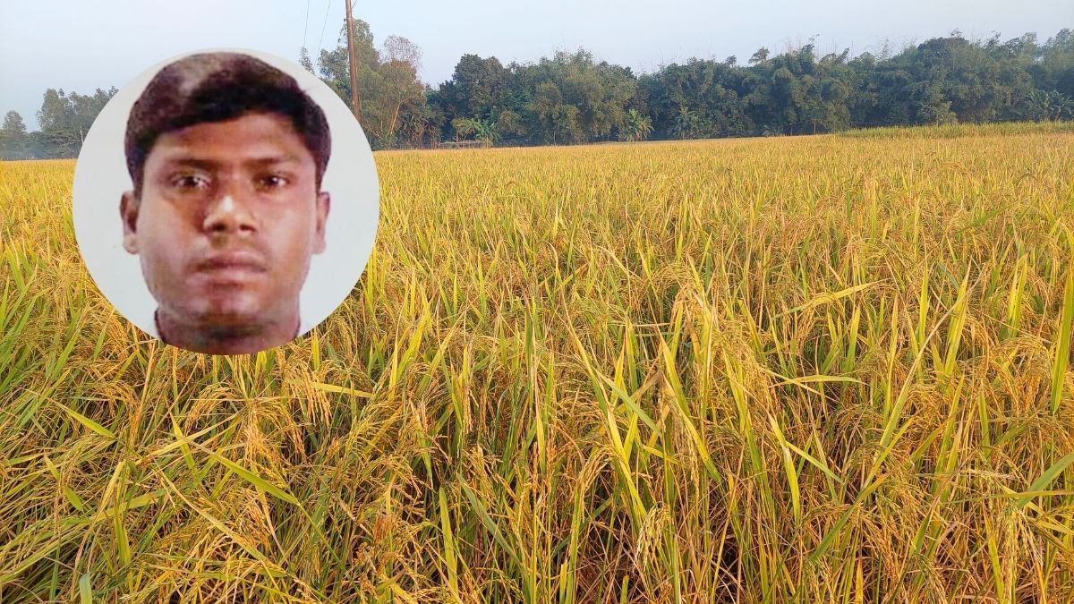 শ্রীবরদীতে মৎস্যজীবী লীগ নেতার বিরুদ্ধে কৃষকের ধান কাটতে বাধা দেওয়ার অভিযোগ