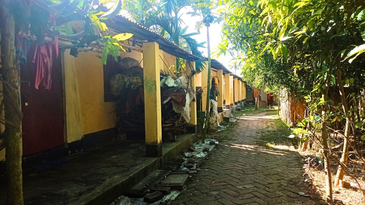 নয়াপাড়া আশ্রয়ণ প্রকল্প : ‘ঘর আছে, মানুষ নেই’