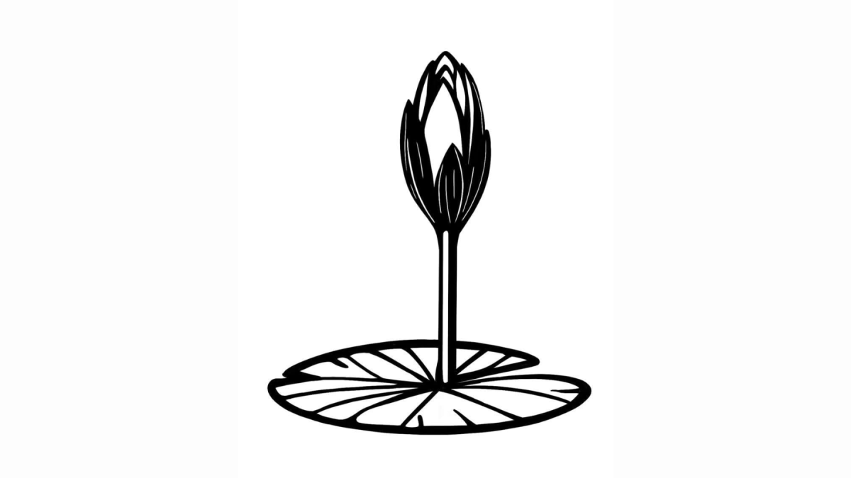 দলীয় প্রতীক ‘শাপলা কলি’র ছবি প্রকাশ করল এনসিপি