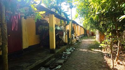 নয়াপাড়া আশ্রয়ন প্রকল্প : ‘ঘর আছে, মানুষ নেই’