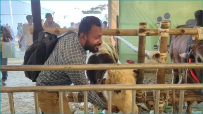 দর্শনার্থীদের আকর্ষণের কেন্দ্রবিন্দু মাগুরা এগ্রিকালচারের ‘ফ্ল্যাগ বি’ গরু