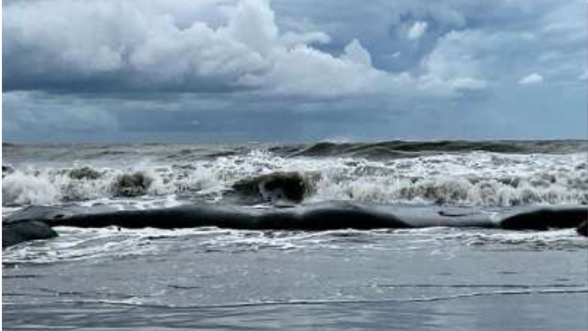 বঙ্গোপসাগরে ঘূর্ণিঝড় ‘ডিটওয়াহ’, চার বন্দরে ২ নম্বর সংকেত