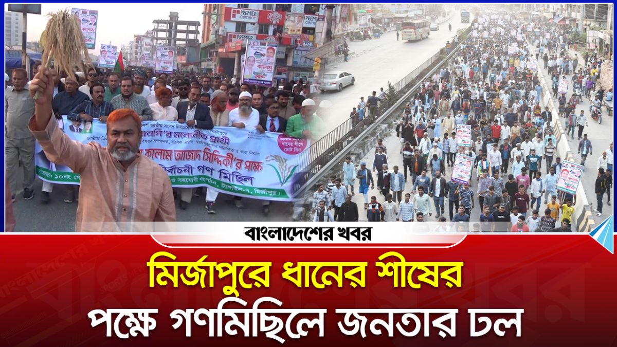 মির্জাপুরে ধানের শীষের পক্ষে গণমিছিলে জনতার ঢল