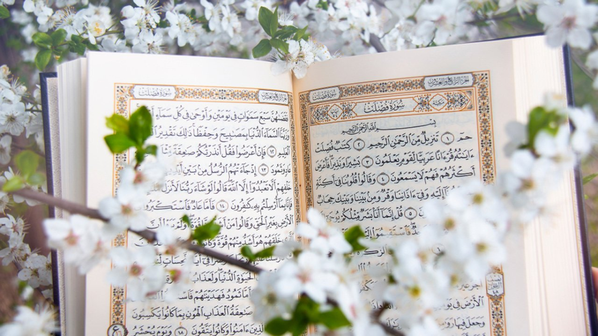 আল্লাহর বিপক্ষে কারো কোনো ক্ষমতা নেই