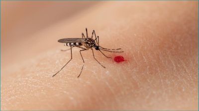 ডেঙ্গুতে আরও ৫ জনের মৃত্যু