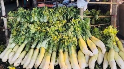 মসজিদের সামনে থেকে সাড়ে ৫০০ কেজি মুলা চুরি