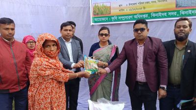 ঝিনাইদহে আড়াই হাজার কৃষকের মাঝে ধানের বীজ ও সার বিতরণ
