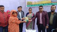 ঝিনাইদহে আড়াই হাজার কৃষকের মাঝে ধানের বীজ ও সার বিতরণ