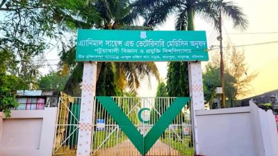 প্রজেক্টর নষ্ট, নেই সাউন্ড সিস্টেম : চরম ভোগান্তিতে শিক্ষার্থীরা