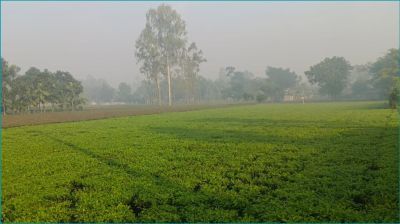 হাড় কাঁপানো শীত পঞ্চগড়ে, তাপমাত্রা ১০ ডিগ্রির ঘরে