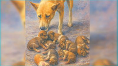 শত্রুতা করে গাছ কাটা, মৎস্য খামারে বিষ দেওয়া ও পশুপাখি হত্যা, আইনে দণ্ডনীয় অপরাধ