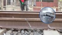 অতিরিক্ত ঠান্ডায় নাটোরে রেললাইনে ফাটল