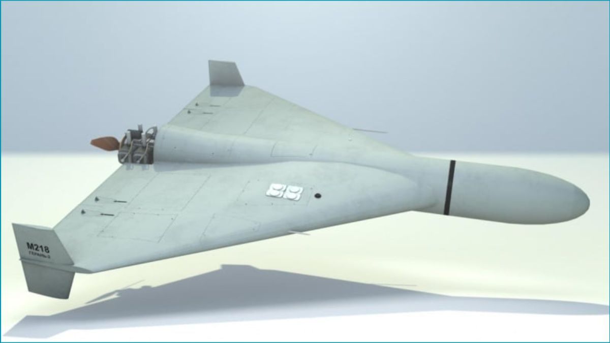 ইরানি মডেলের অনুকরণে নতুন ড্রোন তৈরি করছে যুক্তরাষ্ট্র