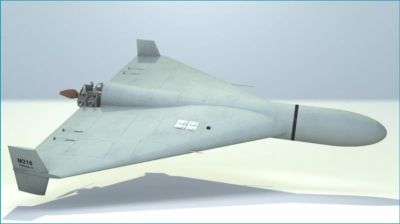 ইরানি মডেলের অনুকরণে নতুন ড্রোন তৈরি করছে যুক্তরাষ্ট্র