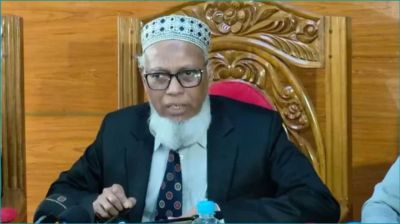 হাদির ওপর হামলা নির্বাচনে বড় প্রভাব ফেলবে না : ইসি মাছউদ