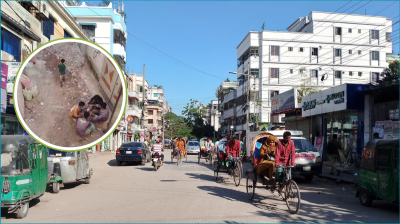 নিকুঞ্জে মাদকের দাপট