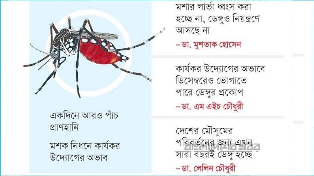 ডিসেম্বরেও চোখ রাঙাচ্ছে ডেঙ্গু